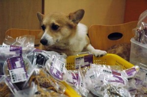 1380944634-1207757645