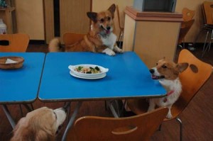 1380944634-2043745519