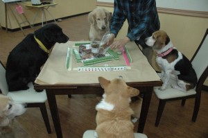 1380944636-1139414652