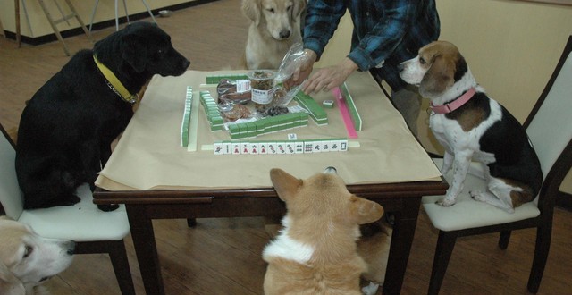 1380944636-1139414652