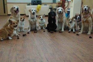 1380944637-255637425