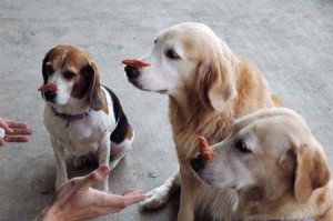 1380944638-2529102946