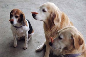 1380944638-3340572055