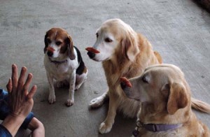 1380944639-3443168675