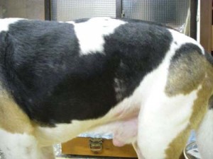 1380944790-1526719058