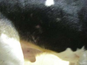 1380944790-2162828246