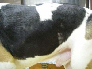 1380944790-832818777