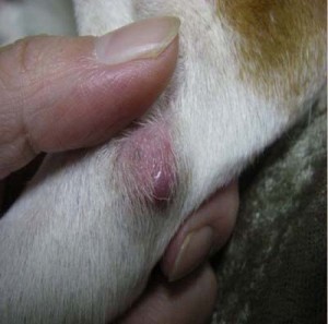 1380944791-2196680157