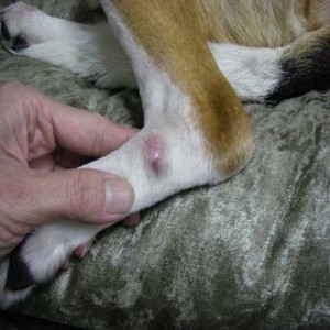 1380944791-2959764089