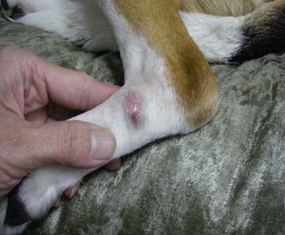 1380944791-2959764089