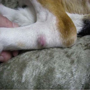 1380944791-380068330