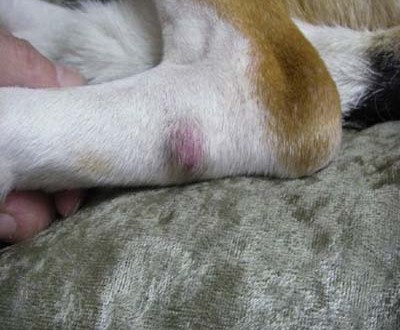 1380944791-380068330