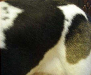 1380944792-1314552061