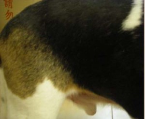 1380944792-3141654895