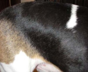 1380944793-1408233305