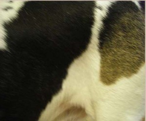 1380944793-2681785920