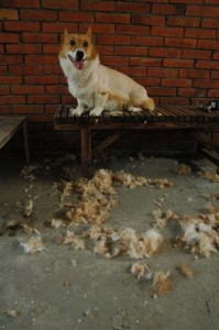 1380944802-118337102