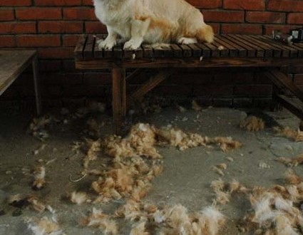 1380944802-118337102