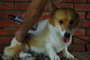 1380944802-3268713207