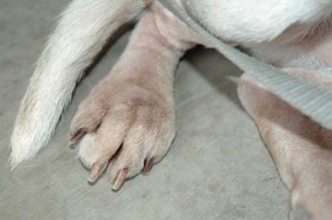 1380944803-4088258410