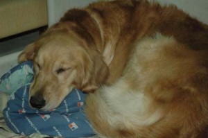 1380944803-769700770