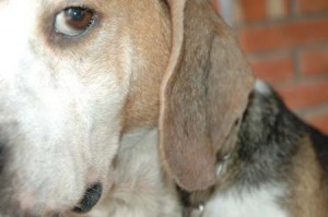 1380944804-3990624436