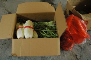 1380945029-2395014872