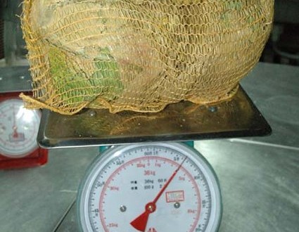 1380945065-2213211792