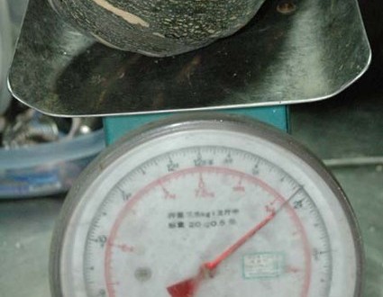 1380945065-3864363824