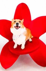 1380946221-3910778602