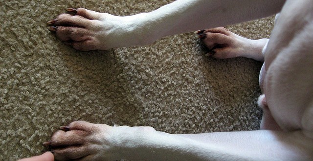 1749015765_9996dab5c7_z