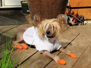 3516723833_90922ee102