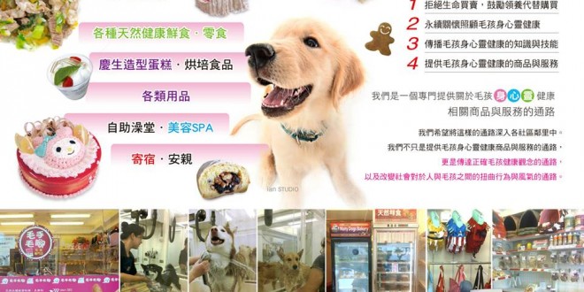 1011937_407346772707088_2142907123_n