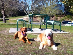 1167888_10151755421618999_1452363337_n