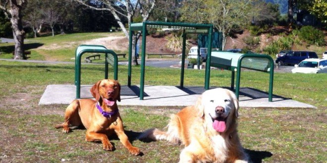 1167888_10151755421618999_1452363337_n