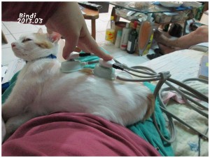 1366775329-2203538007_n