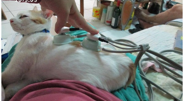 1366775329-2203538007_n