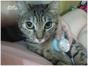 1366775450-11451065_n