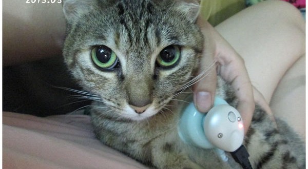 1366775450-11451065_n