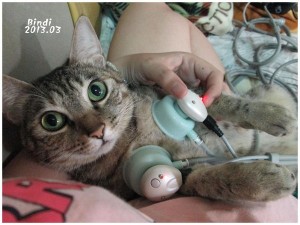 1366775487-964518768_n