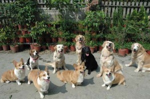 1380943616-3713463201