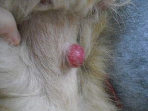 1380943623-1591180021