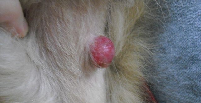 1380943623-1591180021