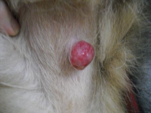 1380943624-128418505