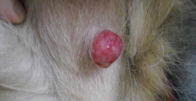 1380943624-128418505