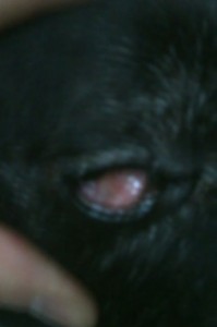 1380943628-1241634674