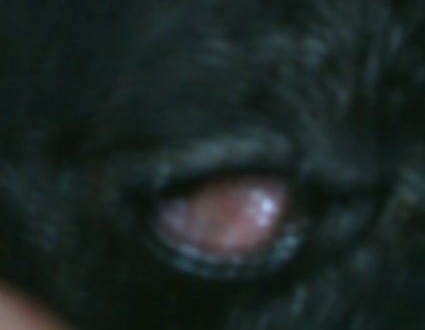 1380943628-1241634674