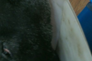 1380943629-209246614