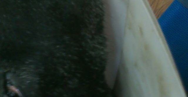 1380943629-209246614