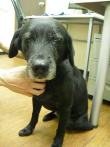 1380943629-4131206378